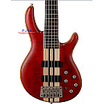 Cort Artisan A5 Plus FMMH OPBC Bass Guitar